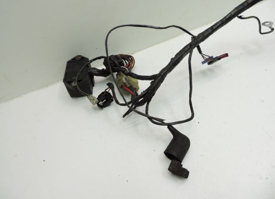 Kabelbaum Triumph Trophy 1200