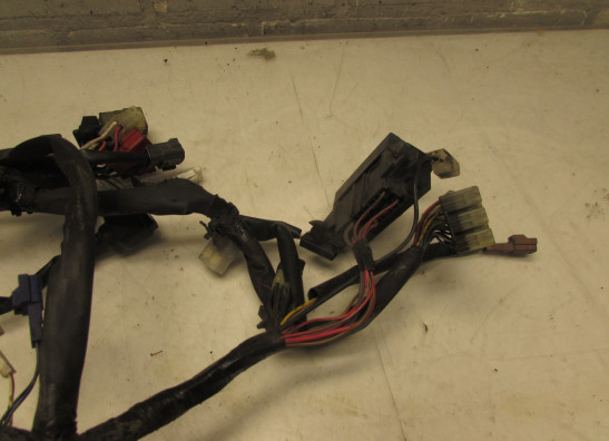 Wire Harness Yamaha FAZER 600