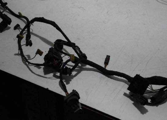 Kabelbaum BMW R 1200 RT