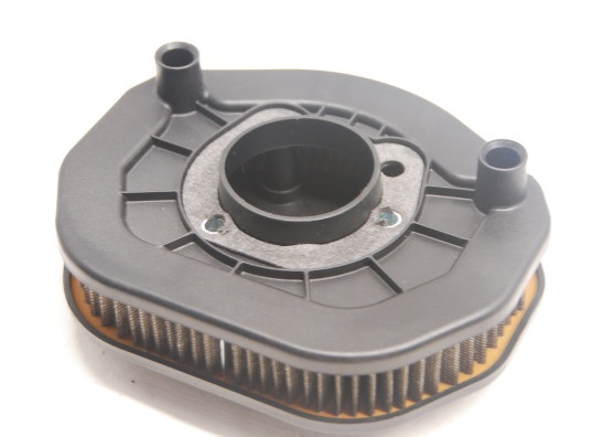 Luchtfilterhuis Harley Davidson Sportster