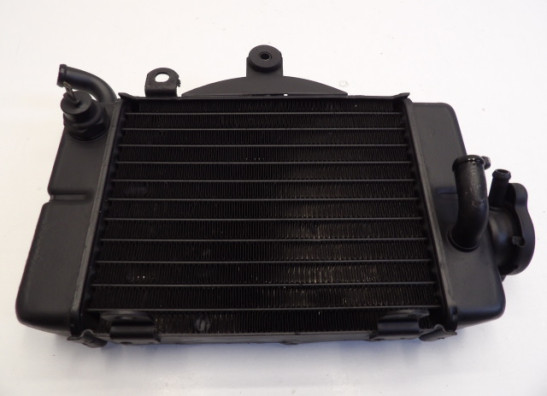 Kuhler Honda TRANSALP