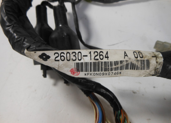 Wire Harness Kawasaki ZZR 250