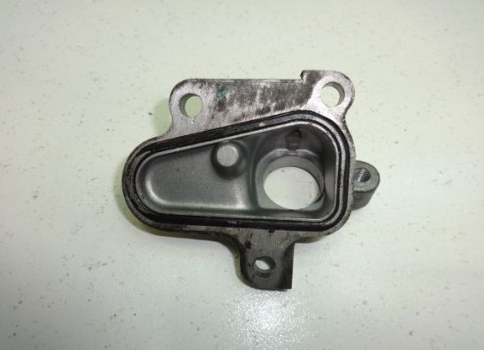 Engine cover Suzuki VX 800