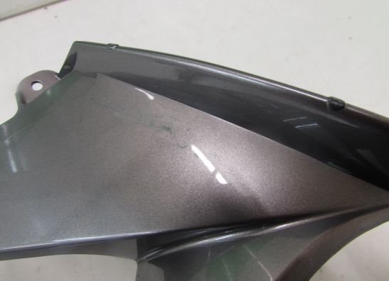 Seitenverkleidung rechts klein Kawasaki Z 1000 Sx