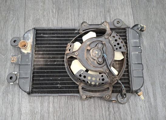 Radiateur Kawasaki VN 700  750