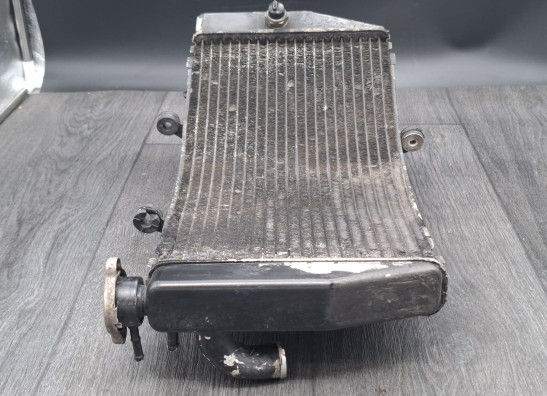 Kuhler Honda CBR Fireblade