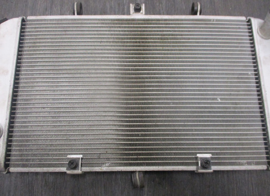 Radiator Kawasaki Z 1000 Sx