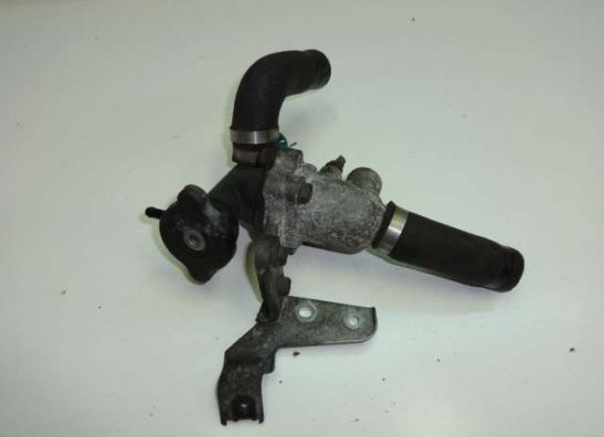 Thermostat Suzuki RF 600