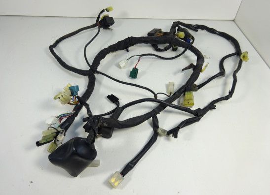 Wire Harness Yamaha FZ6