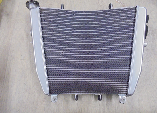 Radiateur Aprilia Tuono V4