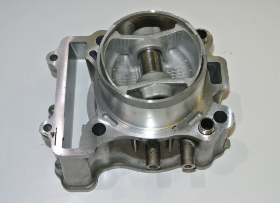 Cilinderblok Suzuki SFV 650 Gladius