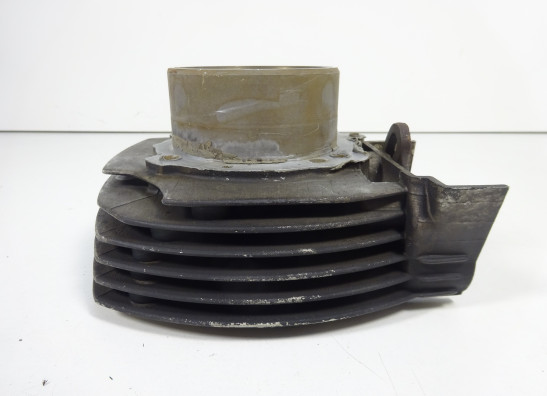 Cylinders Ducati monster 600