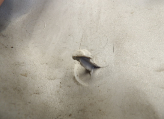 Rechter zijkuip BMW F 650 GS