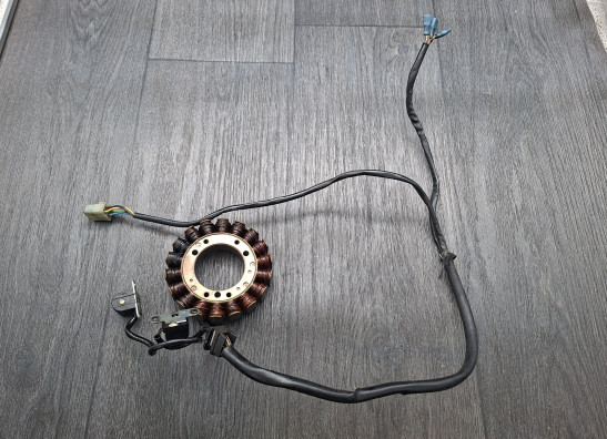 Dynamo Suzuki VS 1400 Intruder