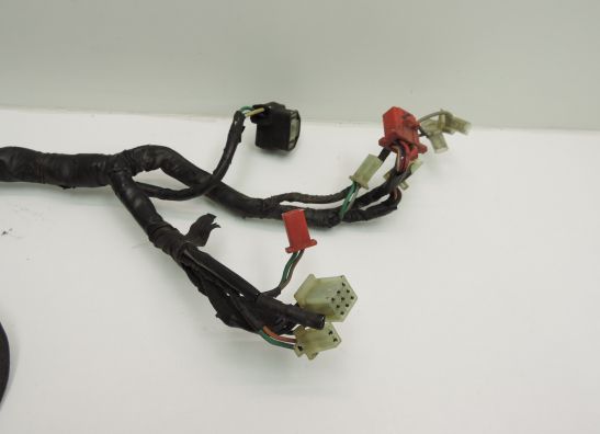 Wire Harness Honda TRANSALP