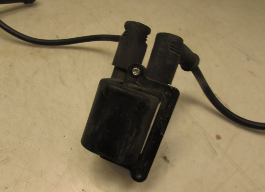 Bobine Ducati Multistrada 1000