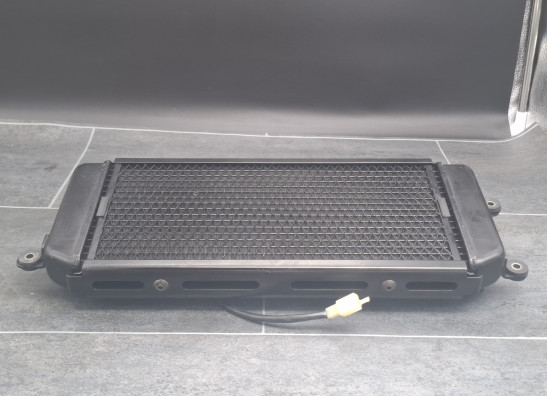 Radiator Suzuki VZ 800 marauder