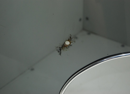 Kuipruit Moto Guzzi Florida V 65