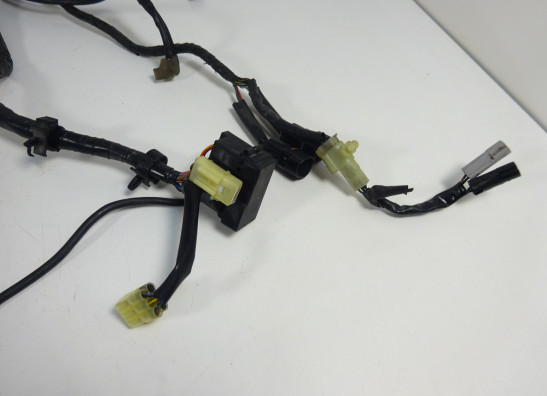Wire Harness Yamaha FZ6