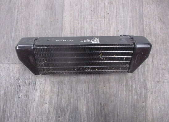 Olkuhler BMW K 1300 S