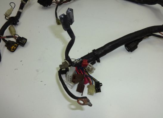Wire Harness Yamaha FAZER 600