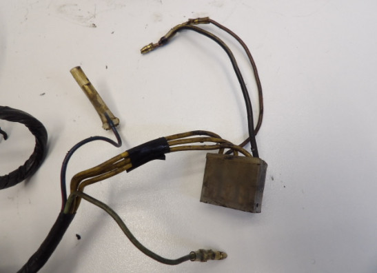 Dynamo Kawasaki LTD 550