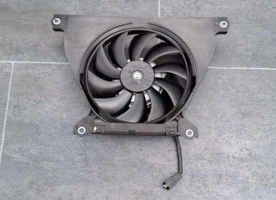 Fan Kawasaki Z 650