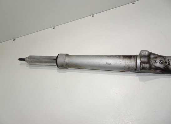 Standrohr Gabelholm links komplett BMW R 1200 RT