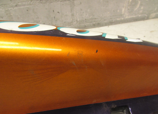 Heck links Kawasaki ZZR 1100