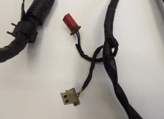 Lufter Honda CBR 600 F