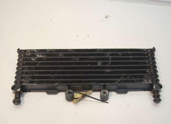 Olkuhler Suzuki GSX F 600