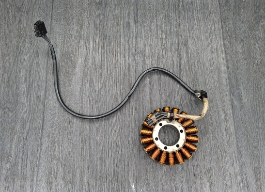 Dynamo Triumph Tiger 1050