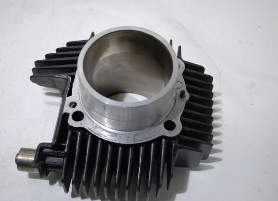 Cilinderblok Ducati 600 SS Supersport