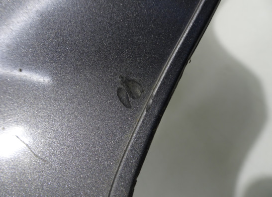 Tankschutz Suzuki XF 650 Freewind