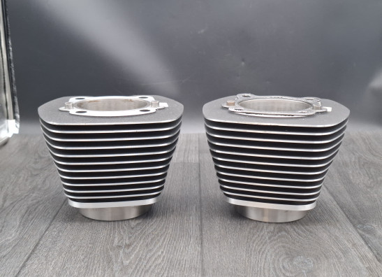 Cilinderkop Harley Davidson FLSTF Fat Boy
