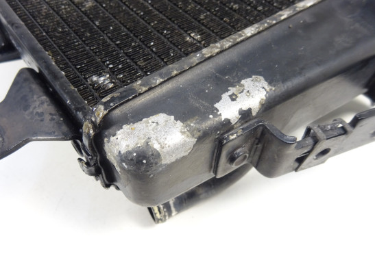 Radiateur Triumph Tiger 1050