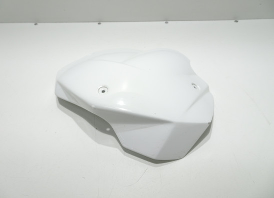 Windscreen BMW F 800 R