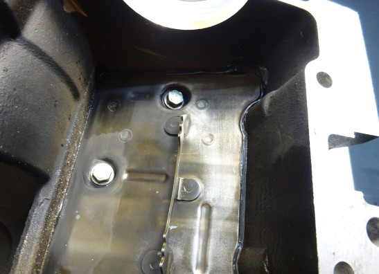 Engine parts Kawasaki ZX 10 R