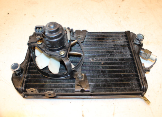 Radiateur Kawasaki LTD 450