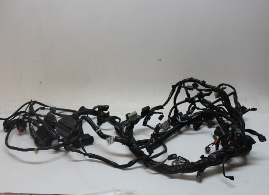 Kabelboom Honda X-adventure 750