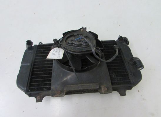 Radiateur Yamaha TDM