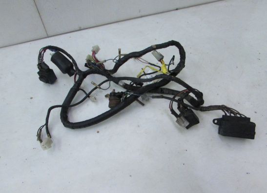 Kabelboom Yamaha TDM