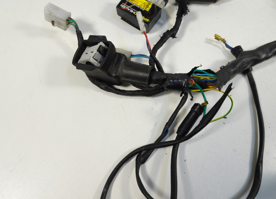 Wire Harness Aprilia Dorsoduro 750