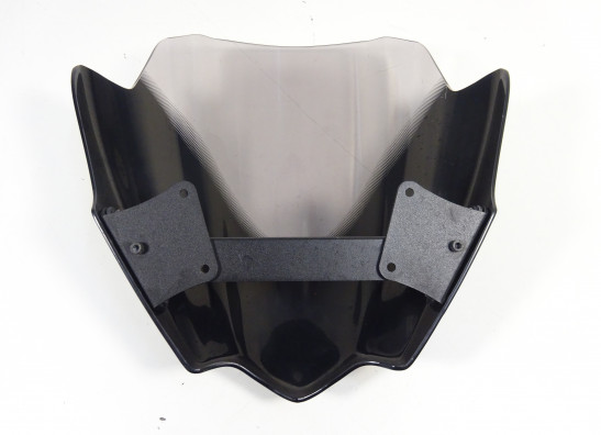Windschild Yamaha MT 09