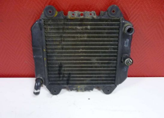 Radiateur Kawasaki ZZR 250