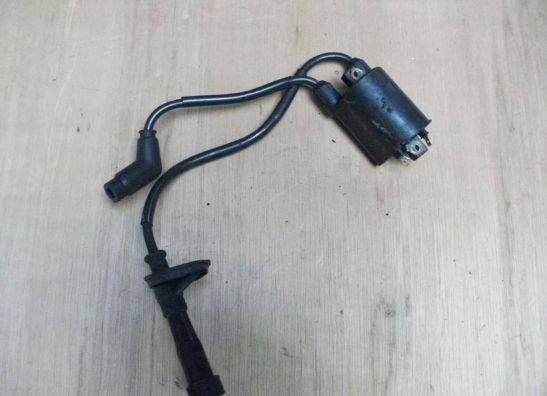 Bobine Honda TRANSALP