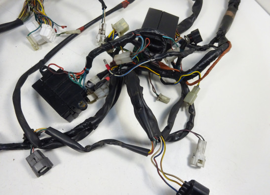 Kabelbaum Aprilia Falco