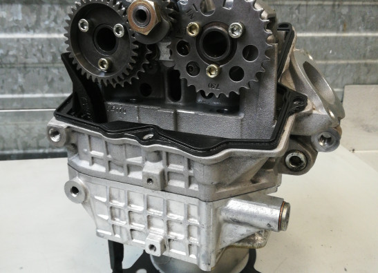 Zylinderkopf Aprilia RSV 1000