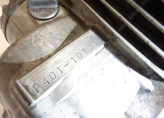 Motorblock Suzuki LS 650