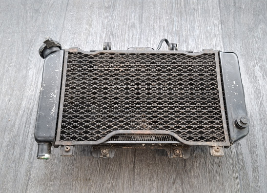 Kuhler Yamaha TDM